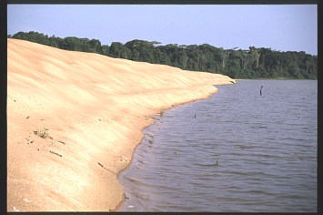 Erik-image 11